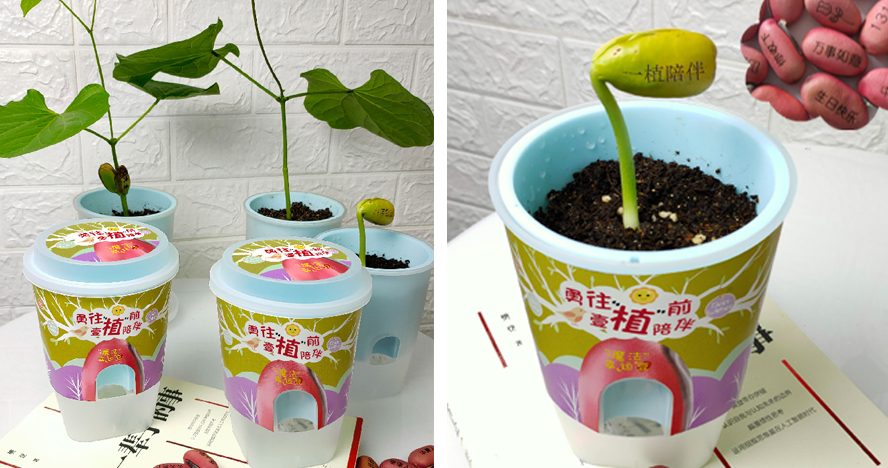 中禮集-同學聚會創(chuàng)意禮品