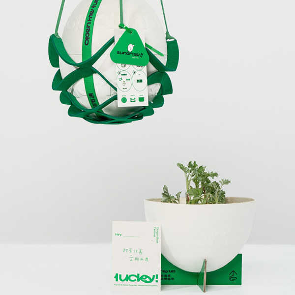 【粽有驚喜】2023創(chuàng)意粽子彩蛋禮盒 環(huán)保蛋+毛氈網(wǎng)袋+桌面支架+種子卡+粽子4+海鴨蛋2 創(chuàng)意端午禮盒2