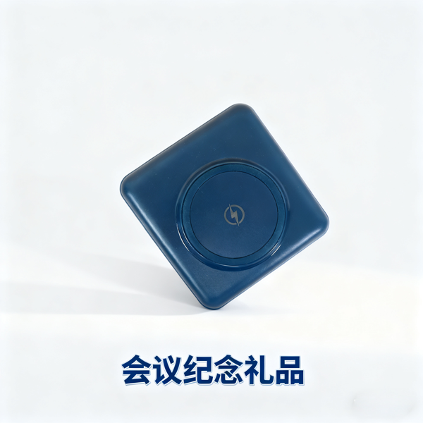 會議紀(jì)念禮品 (2).png