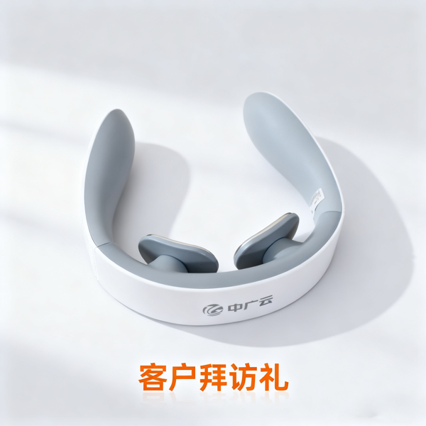 客戶拜訪禮品 (1).png