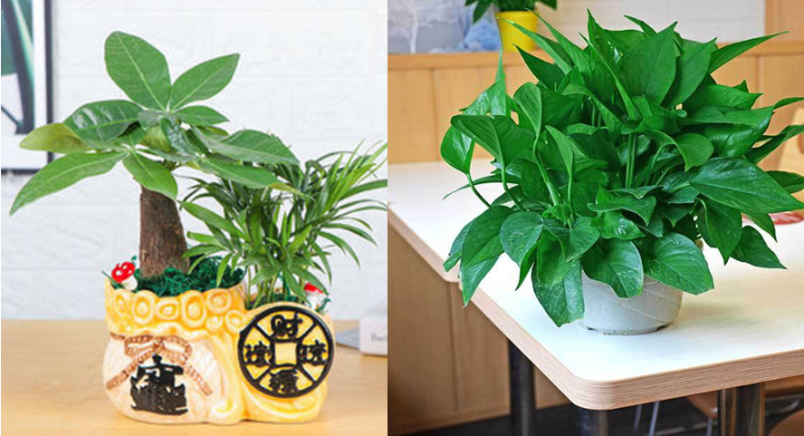 中禮集-喬遷禮品推薦